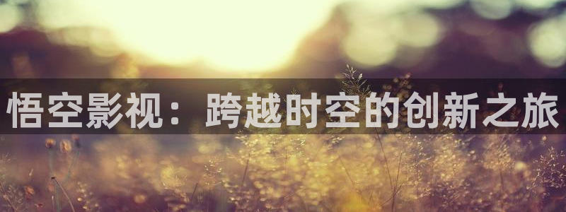 天天5g天天爽成人影院