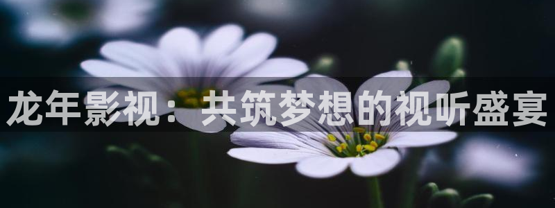 天天 影视：龙年影视：共筑梦想的视听盛宴